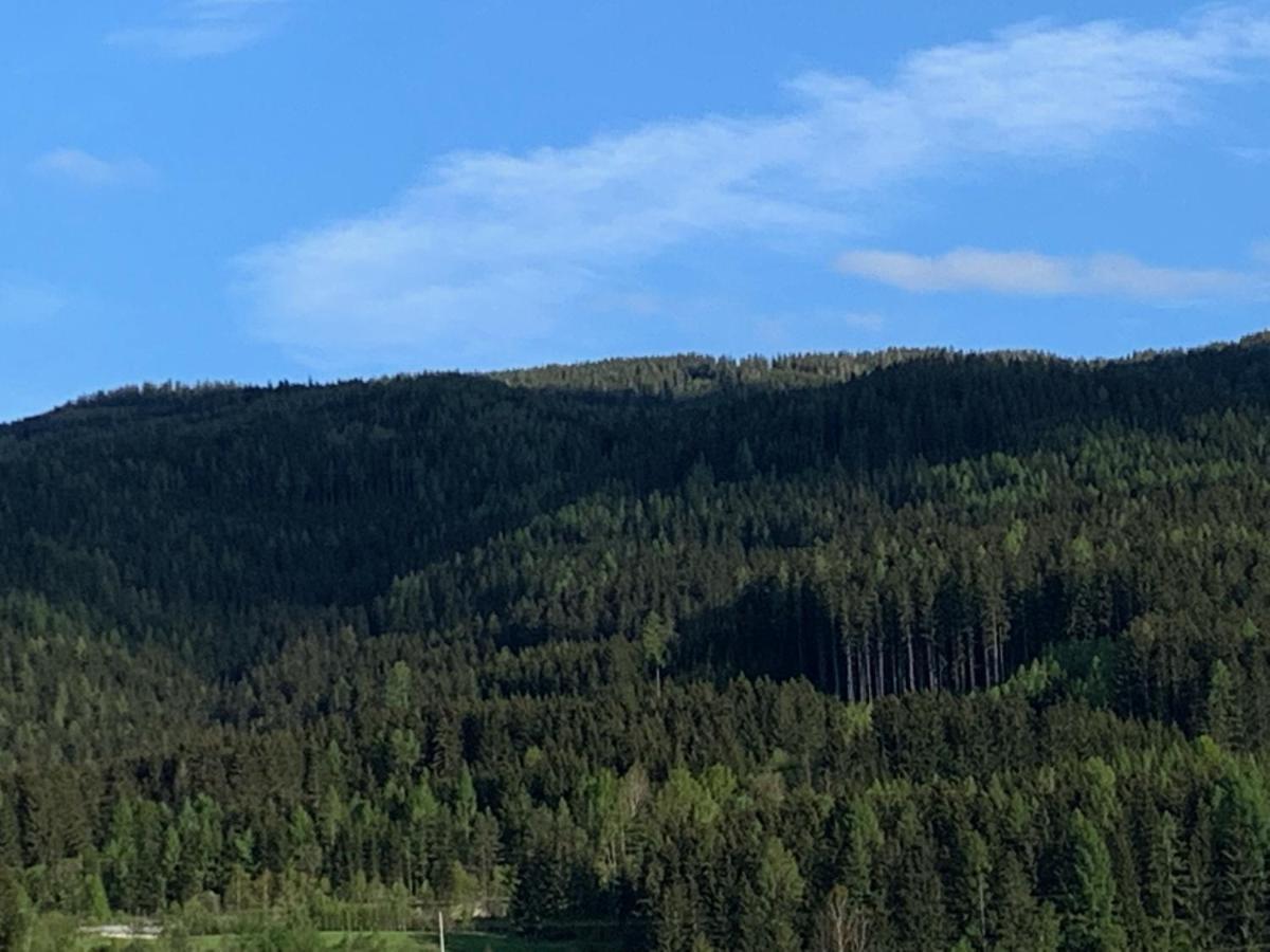 Landgasthof Zur Post Mitterdorf im Mürztal エクステリア 写真